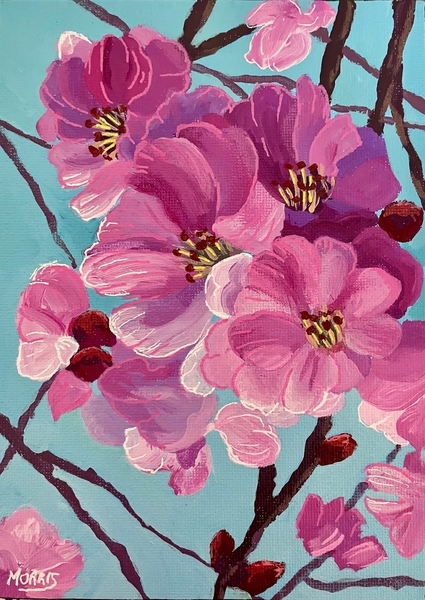 Apple Blossoms