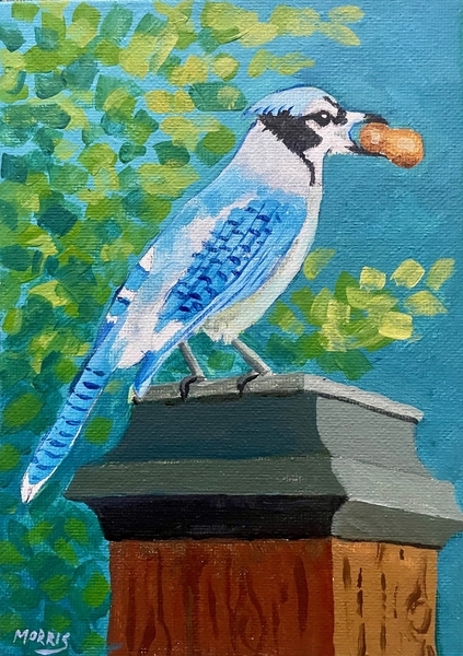 Blue Jay with Peanut (mini)