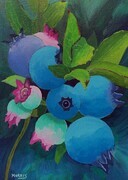 Blueberries #7   5x7 (Mini)