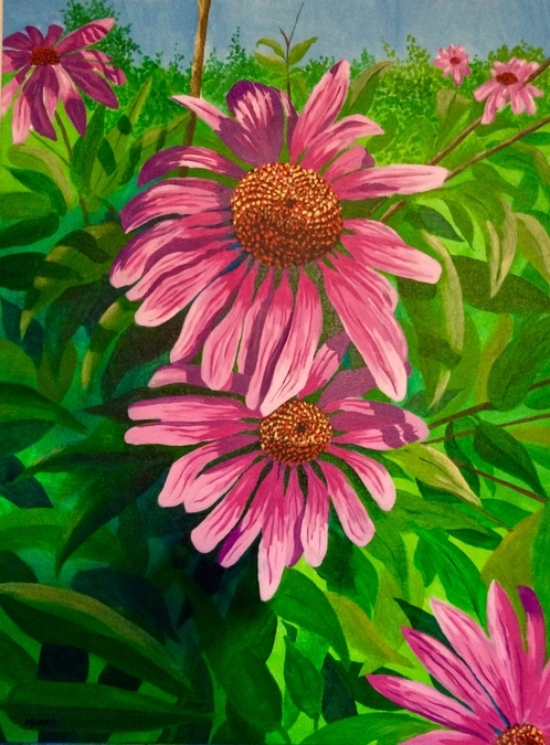 Purple Coneflowers (Sold)