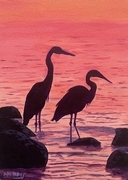 Herons at Rouge Beach (mini)