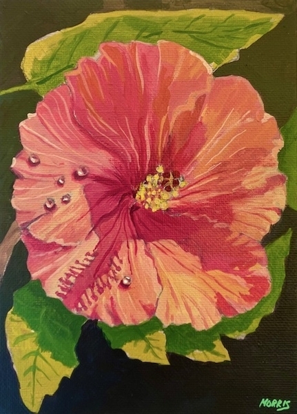 Hibiscus (mini) (SOLD)