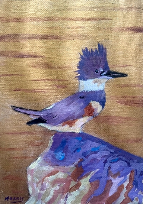 Kingfisher Golden Light (Mini)