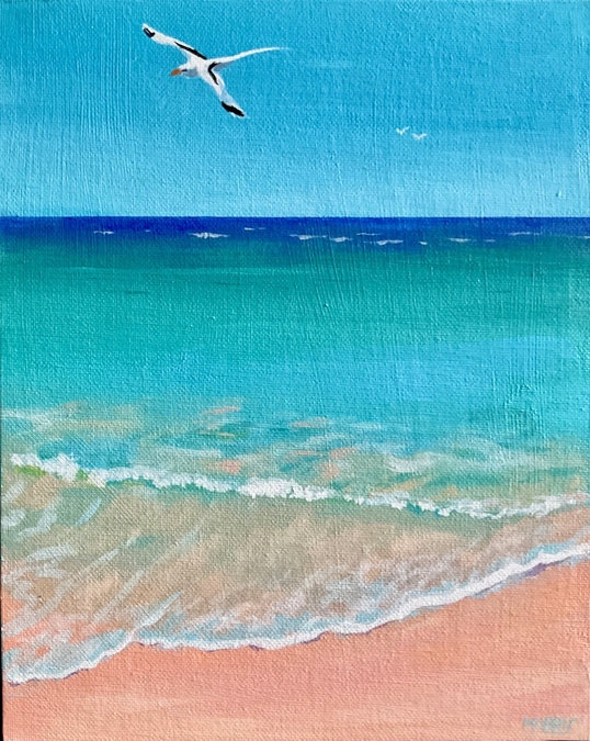 Longtail at Elbow Beach (Framed)
