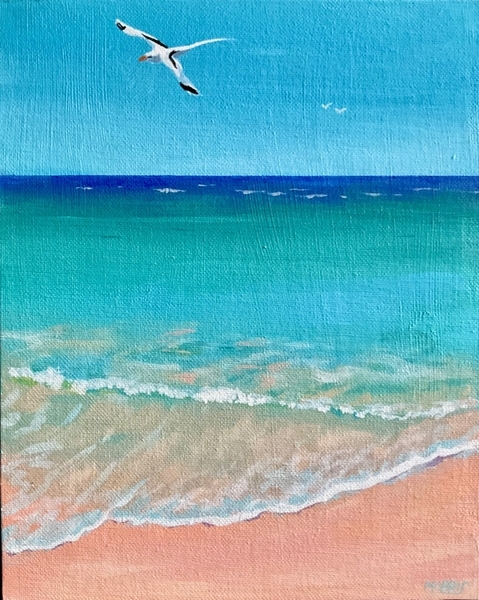 Longtail at Elbow Beach (Framed)
