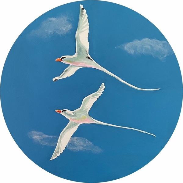 Longtails in Flight
