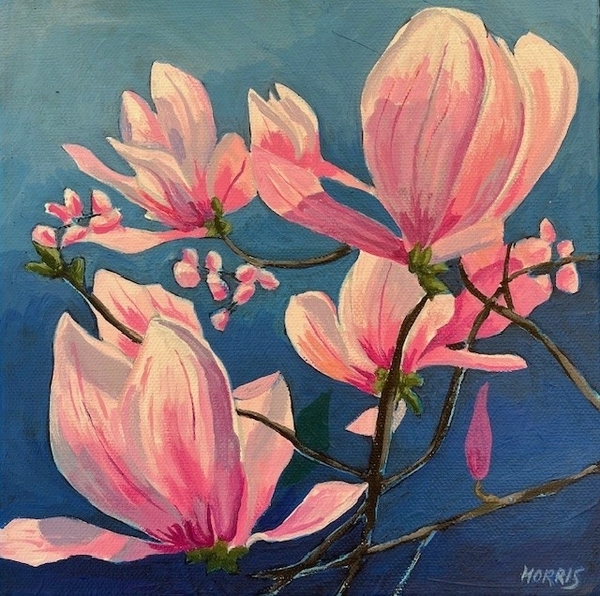 Magnolia