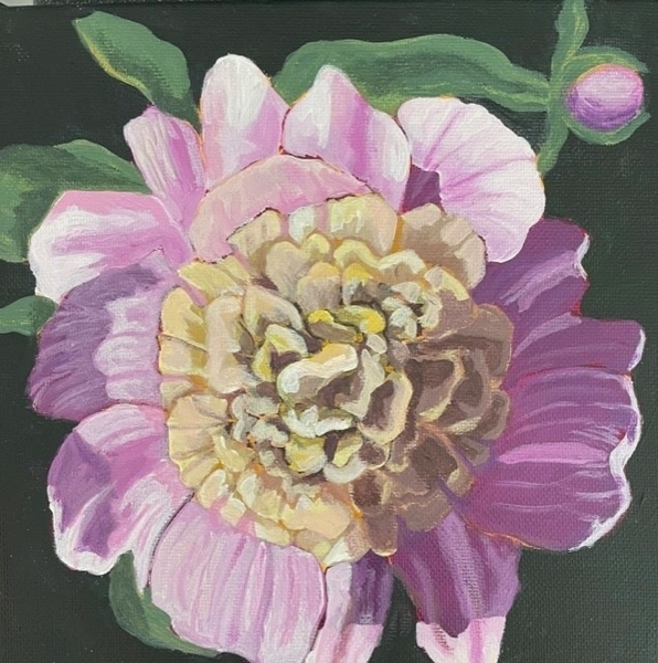 Peony 2