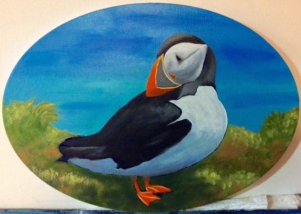 Puffin 3