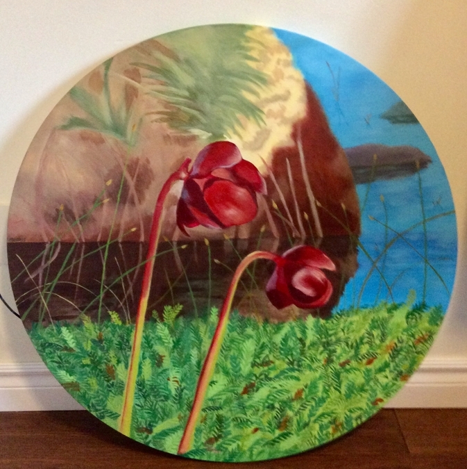 Pitcher Plants (Sold)