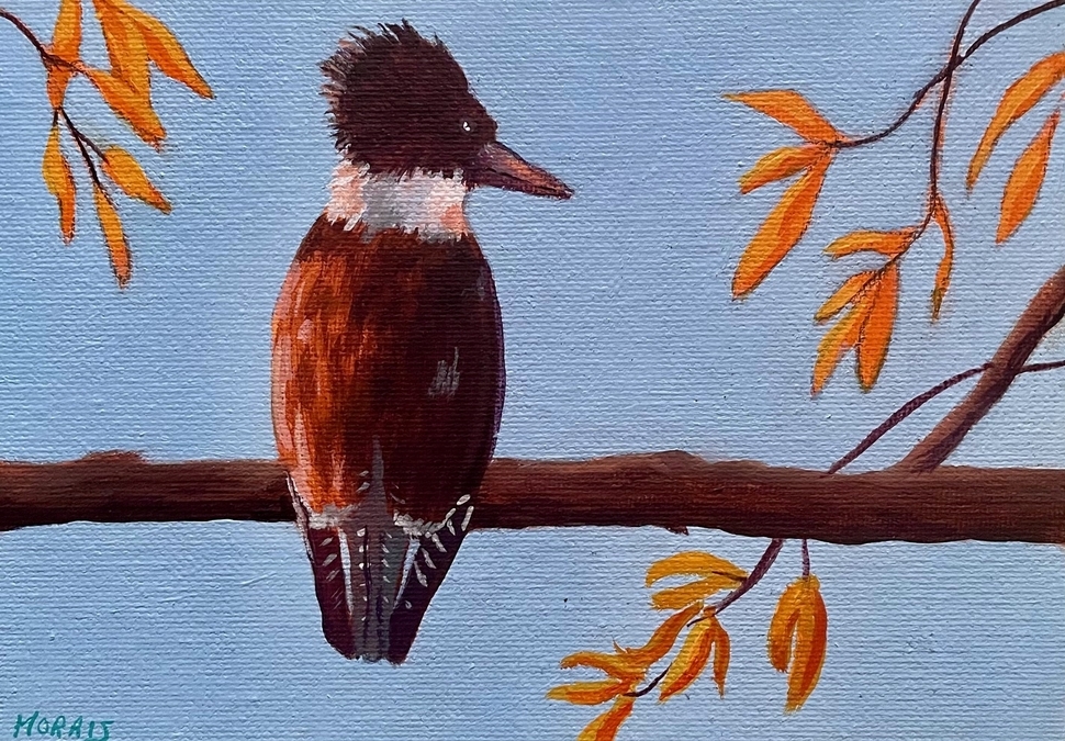 Sunlit Kingfisher (Mini)