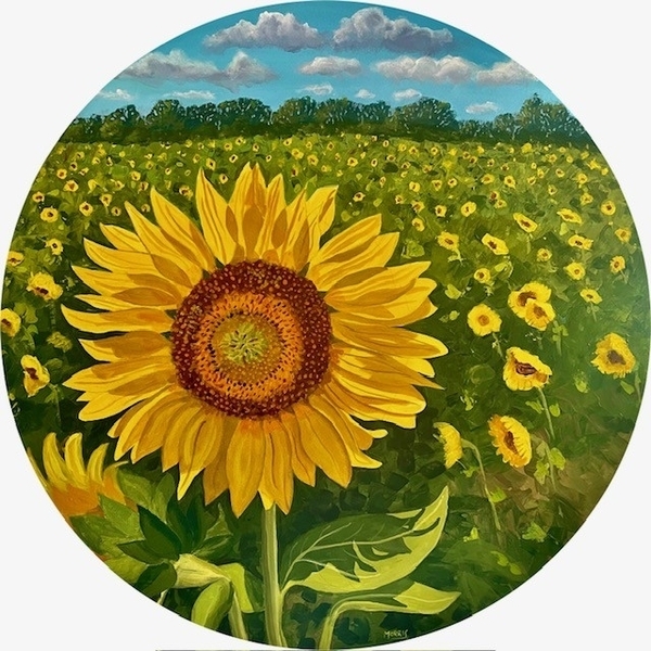 Where the Sunflowers Grow (24 Round)