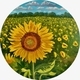 Where the Sunflowers Grow (24 Round)