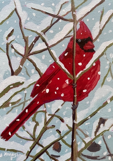 Winter Cardinal (mini)